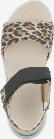 GERRY WEBER SHOES Sandalen met riem 'Arzignano' in Bruin