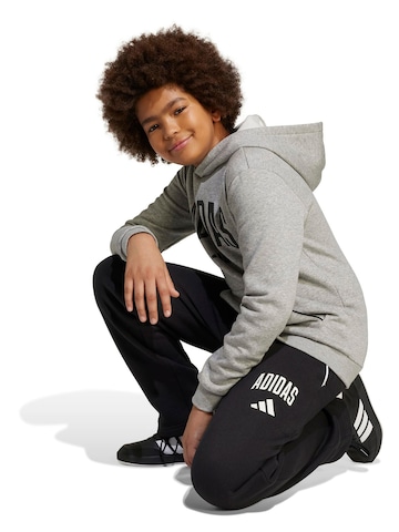ADIDAS SPORTSWEARregular Sportske hlače 'Seasonals Essentials' - crna boja