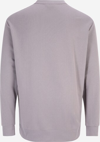 Calvin Klein Big & Tall - Sweatshirt em cinzento