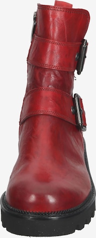 Paul Green Stiefelette in Rot
