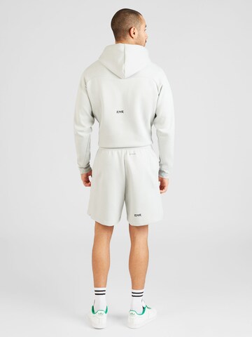 ADIDAS SPORTSWEAR Lużny krój Spodnie sportowe 'Z.N.E. Premium' w kolorze szary