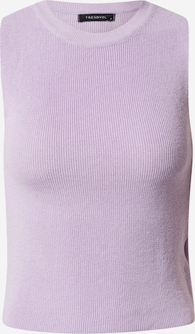 Trendyol Knitted Top in Purple: front