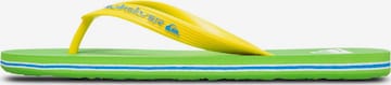 QUIKSILVER Teenslippers 'Molokai Core' in Groen: voorkant