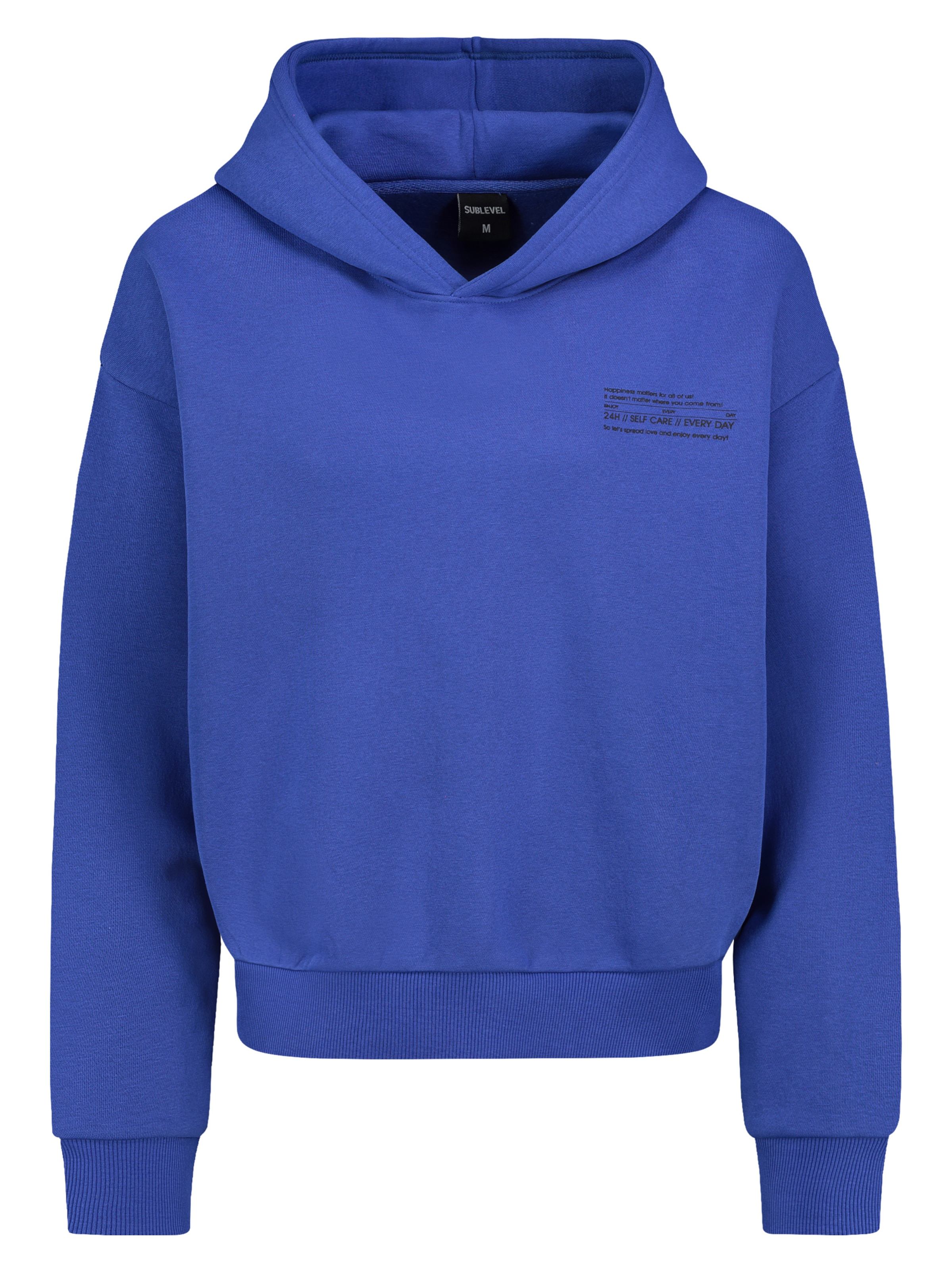 Sublevel Sweatshirt in Blauw: voorkant