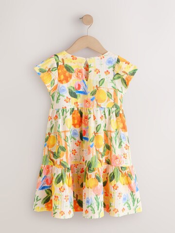 Next Dress in Mixed colours