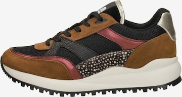 MARUTI Sneakers laag 'Boyd' in Bruin: voorkant