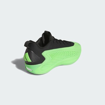 ADIDAS PERFORMANCE Sportschoen 'Anthony Edwards 1' in Groen