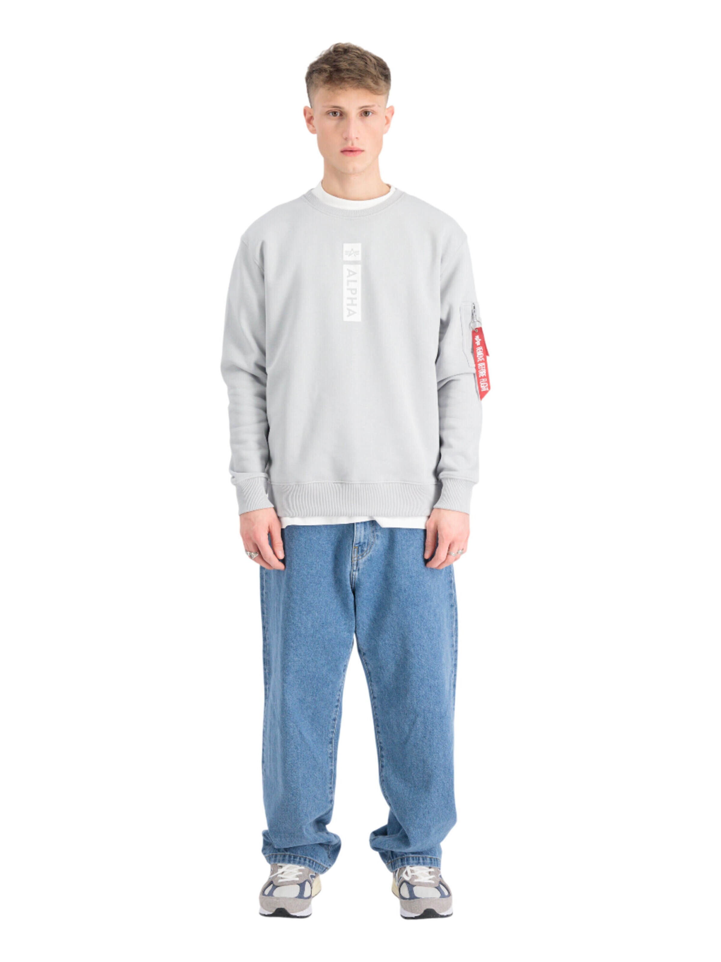 ALPHA INDUSTRIES Sweatshirt 'RP'‌‌‌‌‌‌‌‌ in Grau