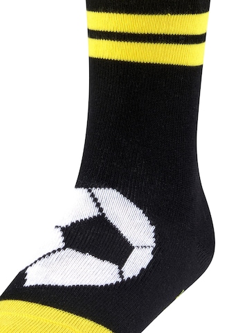 FALKE Socks 'Active Soccer' in Black