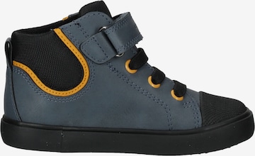 GEOX Sneakers in Blue