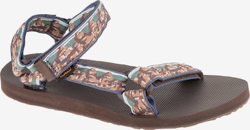Sandales de randonnée 'Original Universal' TEVA en marron : devant