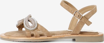 Sandalo di CAFè NOIR in marrone: frontale