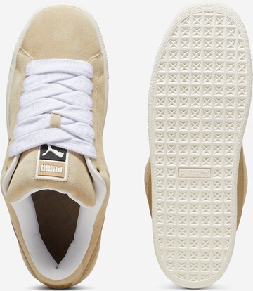 Sneaker bassa 'Suede XL' di PUMA in beige