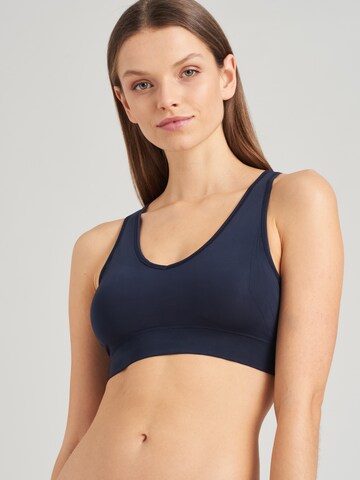 SCHIESSER Top ' Seamless Technical Stripes ' in Blue: front