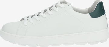 Sneaker bassa 'Spherica' di GEOX in bianco