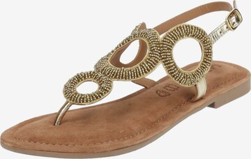 LAZAMANI Strap Sandals in Gold: front