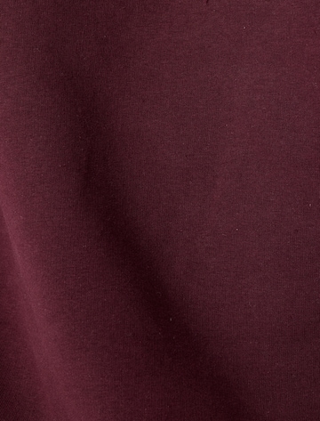 Koton Sweatshirt in Red