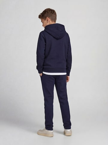 regular Pantaloni 'JREBCREST' di JJ Rebel in blu