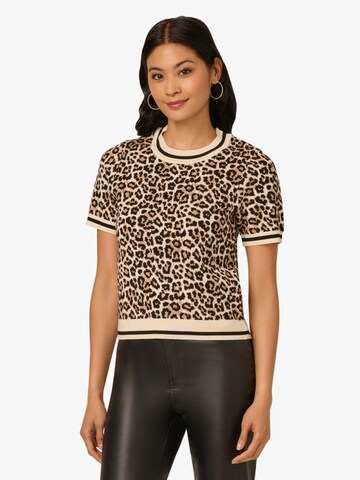Adrianna Papell Sweater in Brown: front