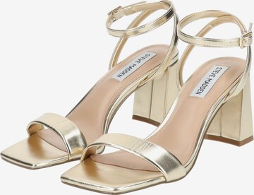 STEVE MADDEN Strap Sandals in Gold