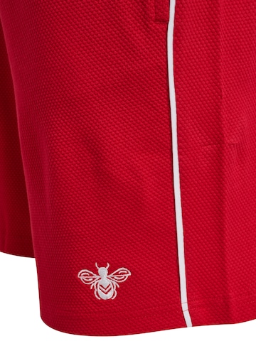 Hummel Regular Sports trousers 'DBU 26' in Red