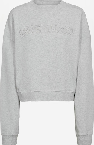 Ivy Copenhagen - Jersey ' IVY-Suki ' en gris: frente