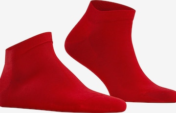 FALKE Socks 'Cool 24/7' in Red: front