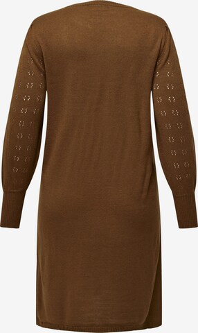 ONLY Carmakoma Knitted dress in Brown