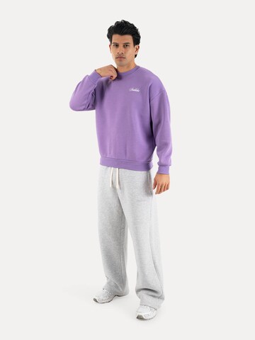 Smilodox Sweatshirt in Lila