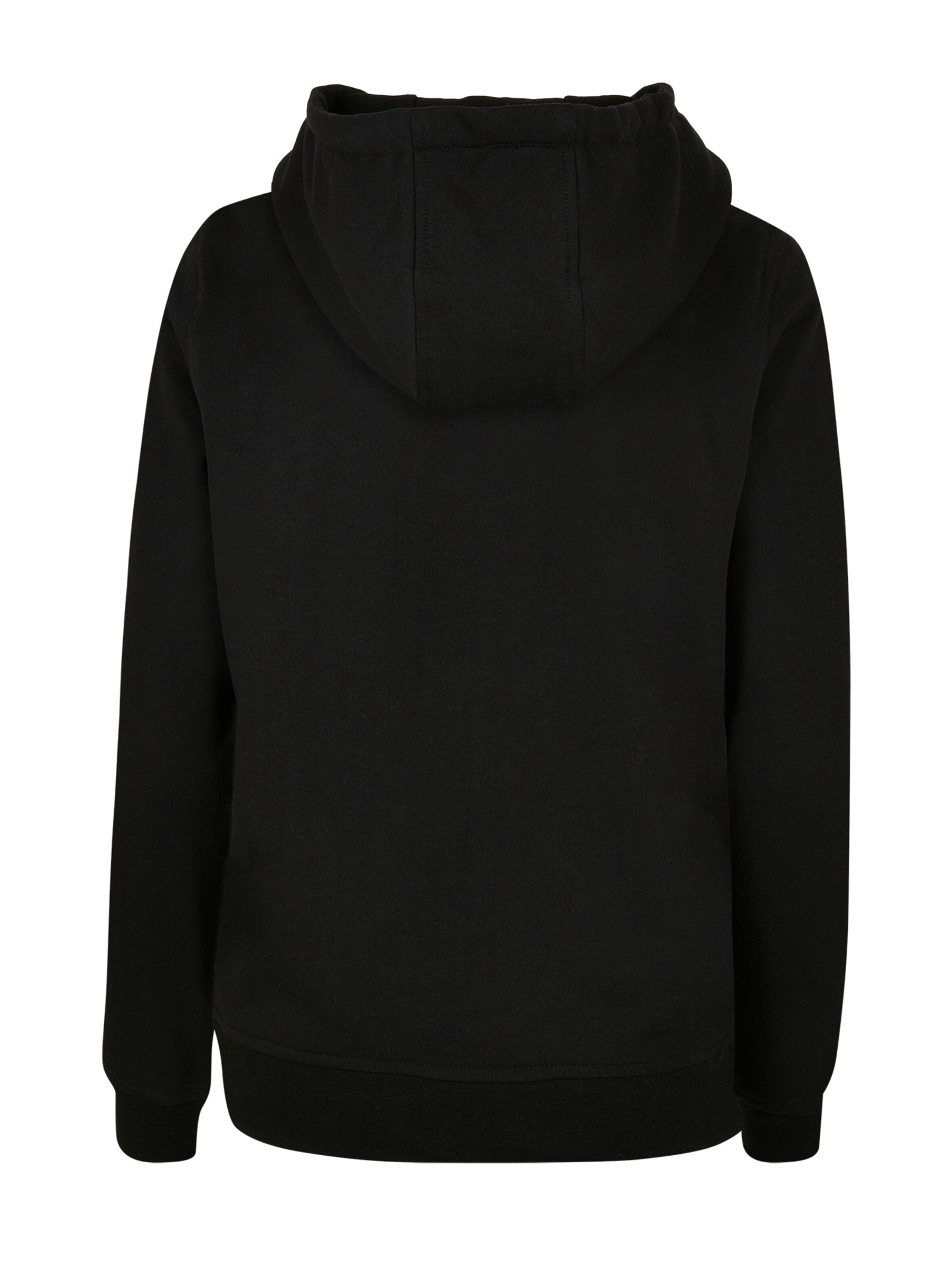 F4NT4STIC Sweatshirt in Zwart