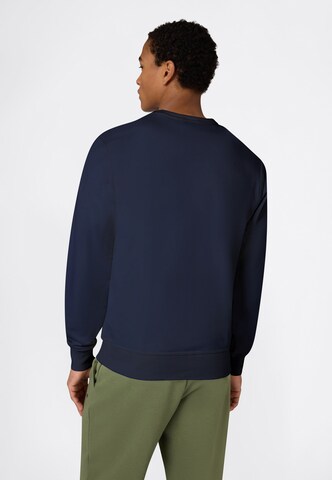 Champion Sweatshirt in Blue