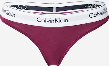 Calvin Klein Underwear - Tanga en lila: frente