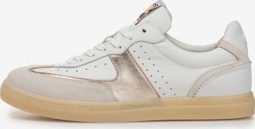 Baskets basses 'Minni 04' Floris van Bommel en blanc : devant