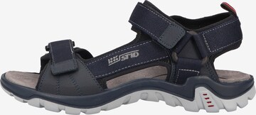 SALAMANDER Hiking Sandals 'Dino' in Blue