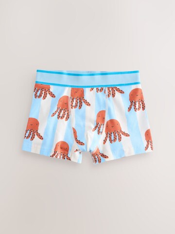 Next Underpants in Mixed colors