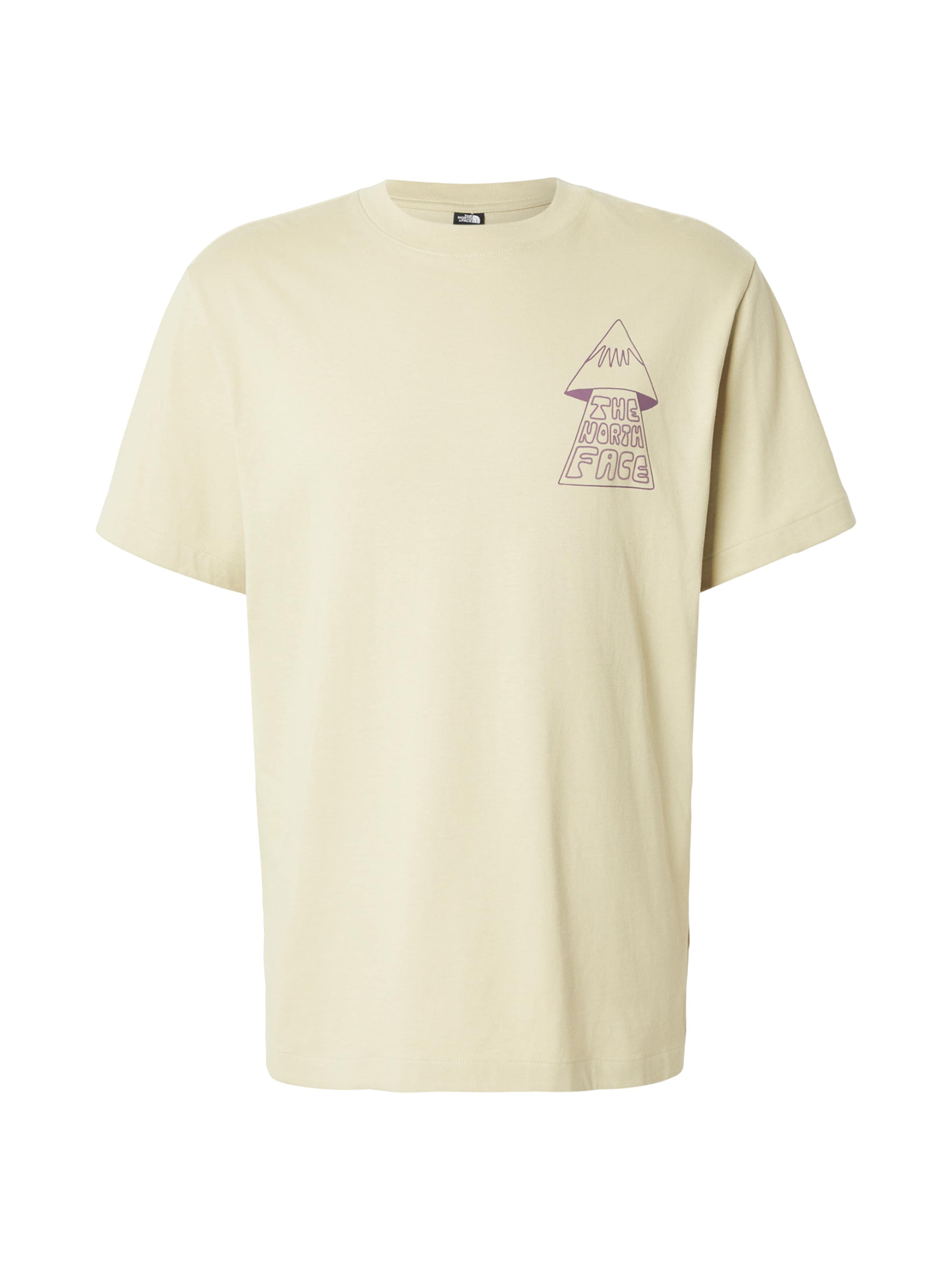 T-Shirt 'MOUNTAIN PLAY' THE NORTH FACE en vert : devant
