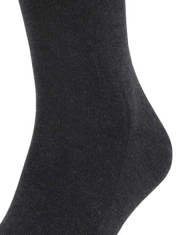 FALKE Knee High Socks 'Family' in Grey
