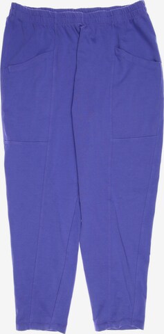 ISCHIKO Stoffhose XXL in Blau: predná strana