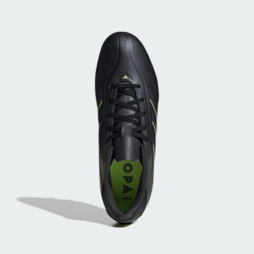 ADIDAS PERFORMANCE Soccer shoe 'Copa Pure III Club' in Black