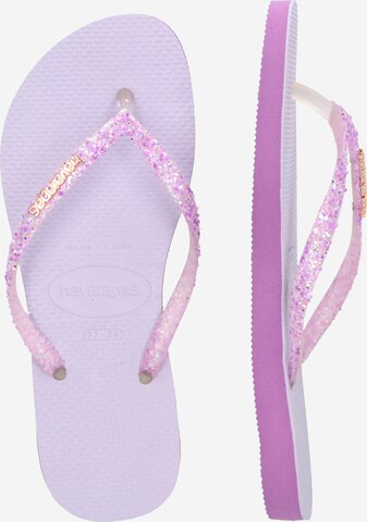 HAVAIANAS Žabky - fialová