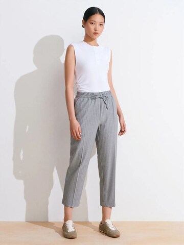 Regular Pantalon Dilvin en gris : devant