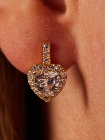 Boucles d'oreilles Lucardi en or : devant