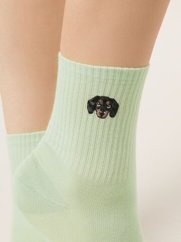 CALZEDONIA Socks 'Dog' in Green