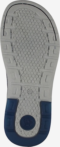SALAMANDER T-Bar Sandals in Blue