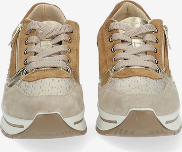 Sneaker bassa di IGI&CO in beige