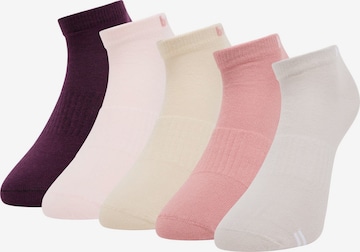 Chaussettes 'Dickson' Bruno Banani en mélange de couleurs : devant