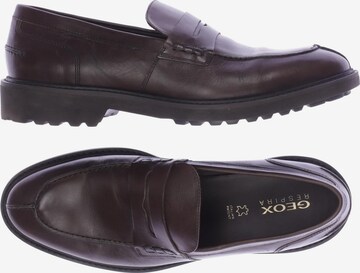 GEOX Flats & Loafers in 45 in Brown: front
