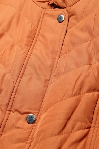 UNBEKANNT Jacket & Coat in 5XL in Brown