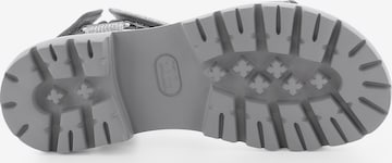 Kennel & Schmenger Strap Sandals ' SKILL ' in Grey