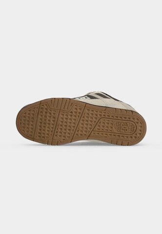 Baskets basses 'STAG' DC Shoes en marron